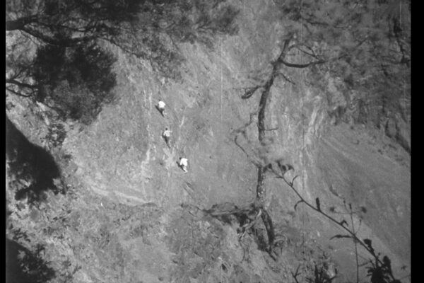cde_4-min